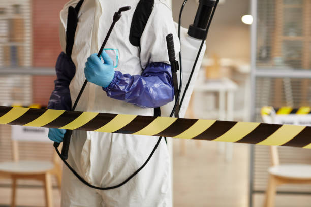 Professional Sewage Cleanup technician working in Pocasset, MA