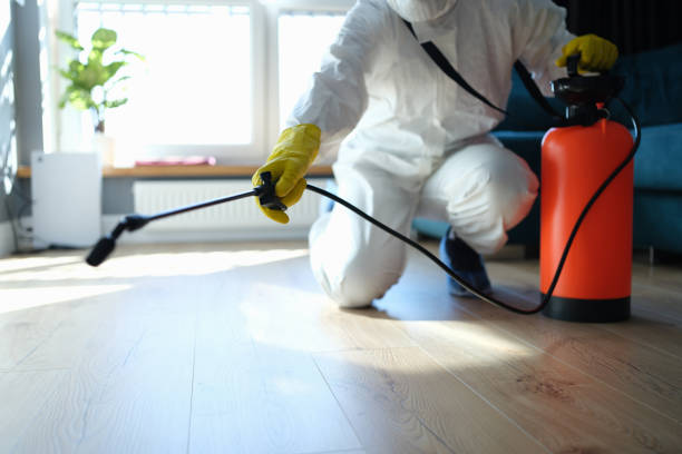 Reliable Sewage Cleanup contractor in Pocasset, MA by Trauma Clean Pros